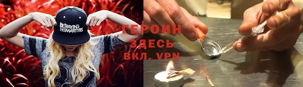 сатива Осинники