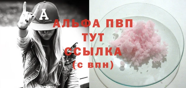 гашик Абаза