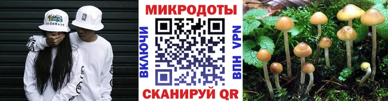Галлюциногенные грибы Magic Shrooms  сайты даркнета телеграм  Карталы 
